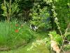 20070414DSCN1739.jpg