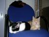 20061225DSCN1504.jpg