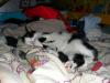 20061231DSCN1583.jpg