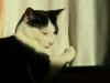 20070203DSCN1599.jpg