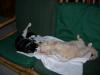 20070413DSCN1735.jpg