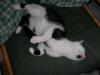 20070421DSCN1748.jpg