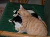 20070524DSCN1834.jpg