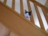 20070413DSCN1732.jpg